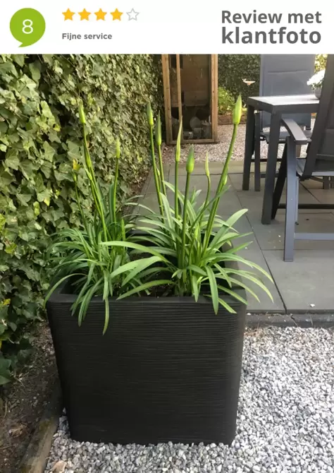 Capi pot vierkant ribstructuur klantfoto 1