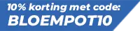 Bloempot10