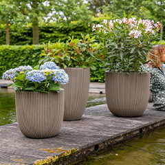 Bloempotten & plantenbakken