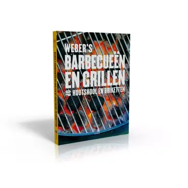 Boek bbq/grillen met houtsk/brik nl - afbeelding 3