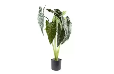 Boltze Kunstplant in pot , Arrow Leaf, Indoor