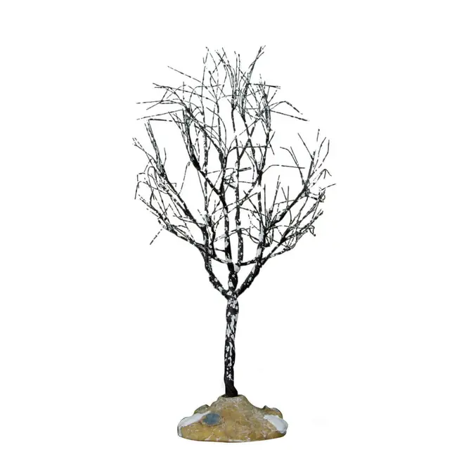 Butternut tree small, Lemax Europe, tuincentrumoutlet