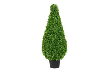 Buxaceae in pot l20b20h74cm groen