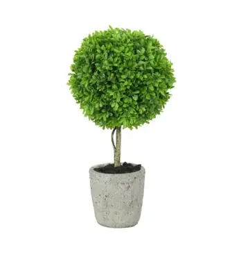 Buxaceaesteel l15b15h40cm groen