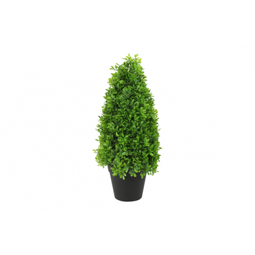 Buxaceaesteel l15b15h45cm groen