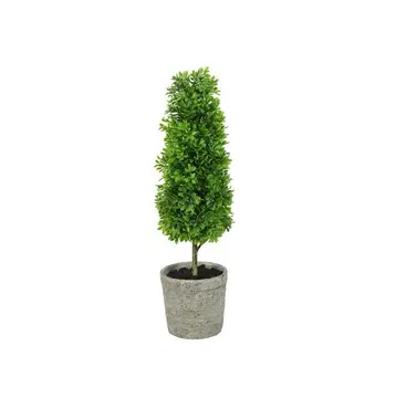 Buxaceaesteel l15b15h56cm groen