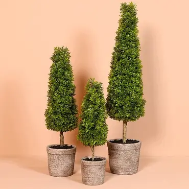 Buxaceaesteel l15b15h56cm groen sfeer, countryfield, tuincentrumoutlet.com
