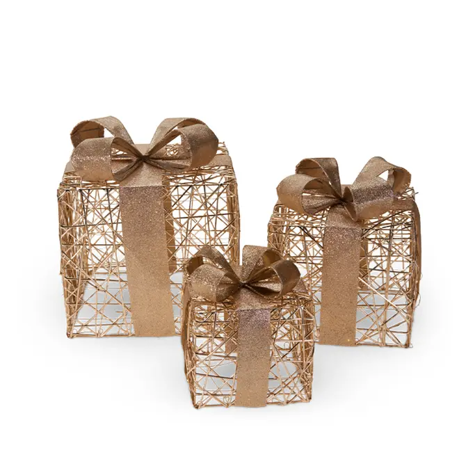 CADEAU S MET LED CHAMPAGNE GO, Koopman, tuincentrumoutlet.com