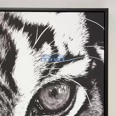 Canvas tiger, closeup, tuincentrumoutlet.com