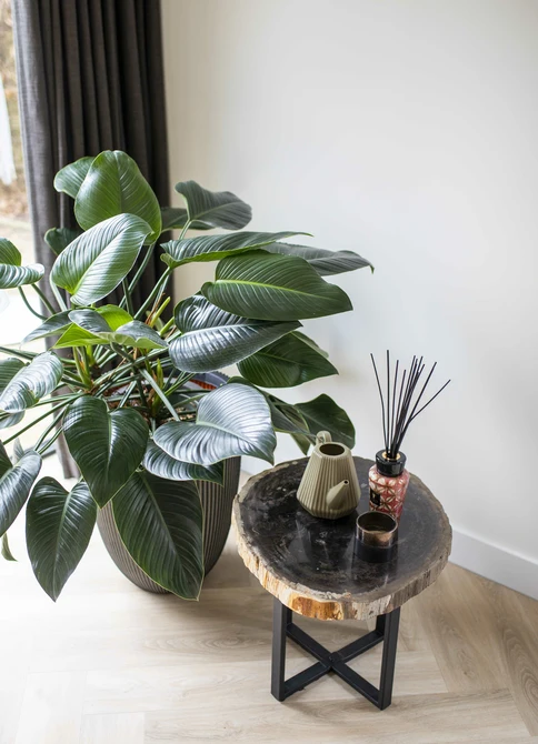 CAPI EUROPE Vaas elegant lg groove d34h46 antrc - afbeelding 3