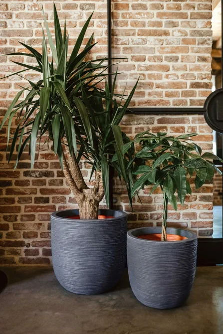 Planter ball Rib NL 35x34 anthracite sfeerbeelden, Capi Europe, tuincentrumoutlet