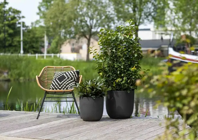 Planter ball Smooth NL 35x34 black sfeer, Capi Europe, tuincentrumoutlet