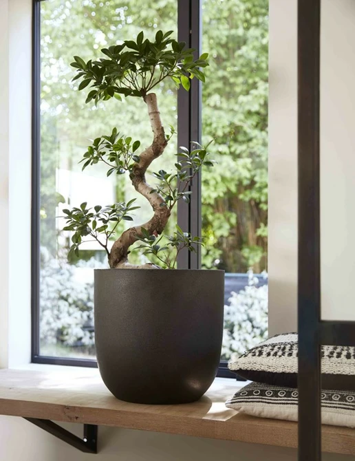 Planter ball Smooth NL 35x34 black sfeerfoto, Capi Europe, tuincentrumoutlet