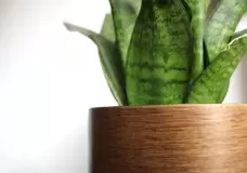 Capi pot bol retro d24h21cm goud