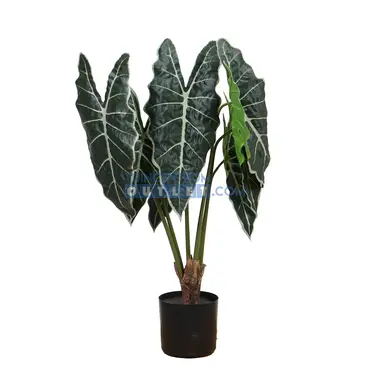 Cissus i/pot h40cm, Noach Outdoor, Tuincentrum Outlet