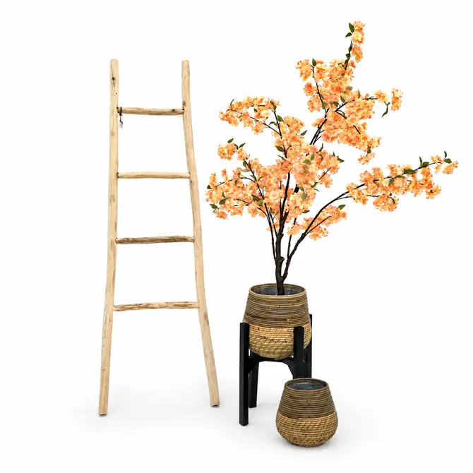 Deco ladder teak l35b55h160cm naturel sfeerfoto, Van der Leeden, Tuincentrumoutlet