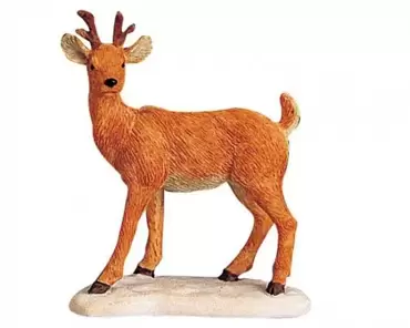 Deer On The Hoof