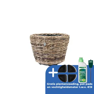 Drypot abaca d33h24cm