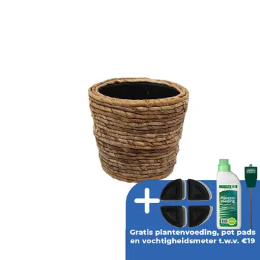 Drypot abaca d33h28cm bruin