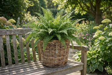 Drypot abaca d35h30cm - afbeelding 6