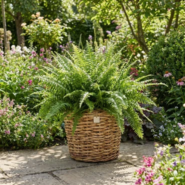 Drypot abaca d36h28cm - afbeelding 6