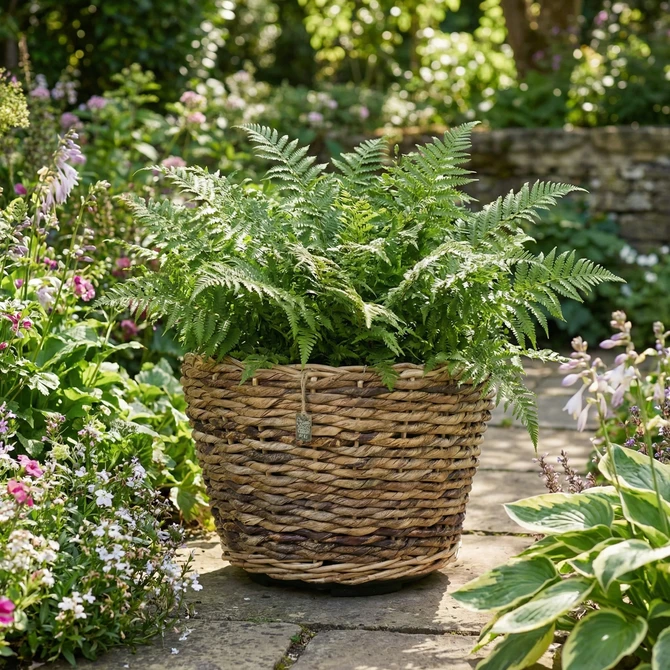 Drypot abaca d43h30cm - afbeelding 5