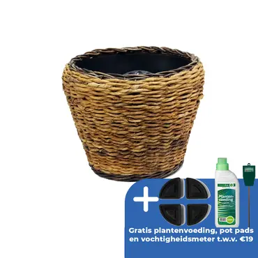 Drypot abaca d52h42cm