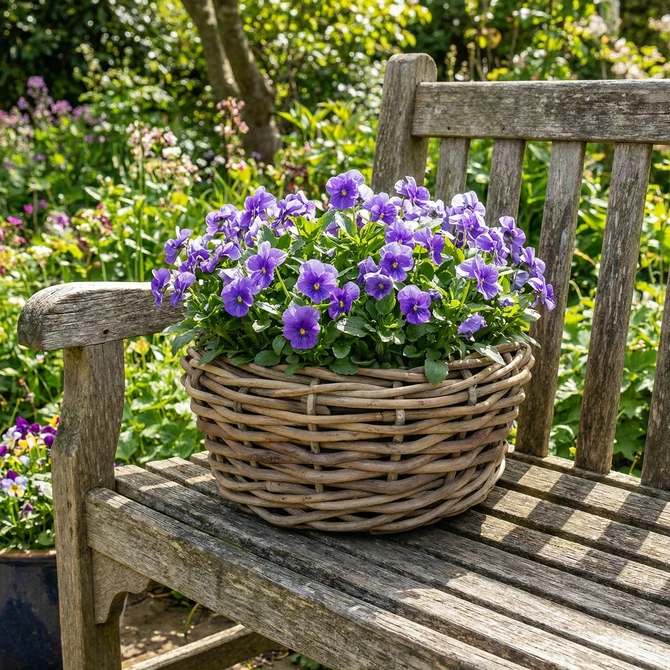 Drypot d40h20cm grijs - afbeelding 2