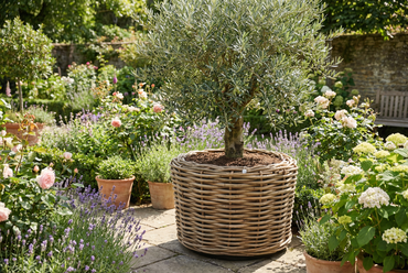 Drypot jumbo d127h85cm - afbeelding 4