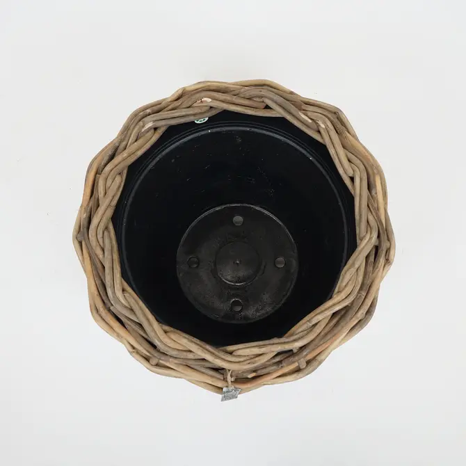 Drypot op wielen d58h51cm grijs, van der leeden, tuincentrumoutlet