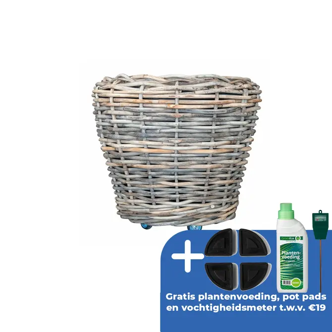 Drypot op wielen d68h61cm grijs - afbeelding 1