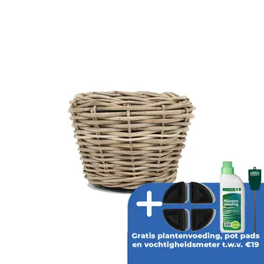 Drypot rond grijs d57h43cm