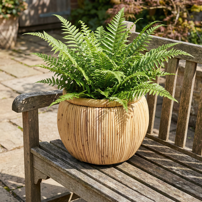 Drypot rotan d37h30cm blond - afbeelding 2