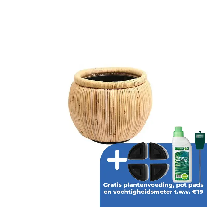 Drypot rotan d47h35cm blond - afbeelding 1