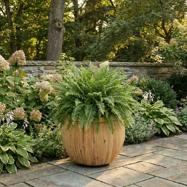 Drypot rotan d47h35cm blond - afbeelding 2