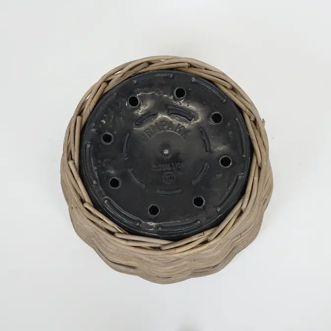 Drypot rotan d68h52cm grijs - afbeelding 3