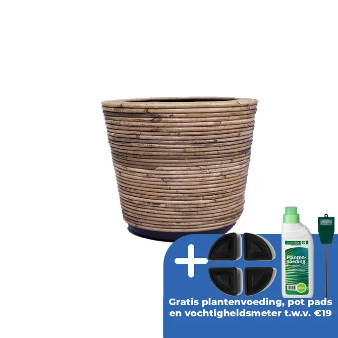 Drypot rotan streep d35h30cm - afbeelding 1