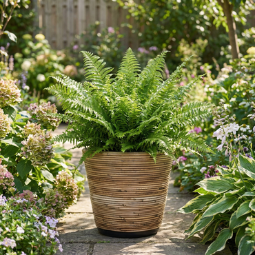 Drypot rotan streep d38h36cm - afbeelding 4