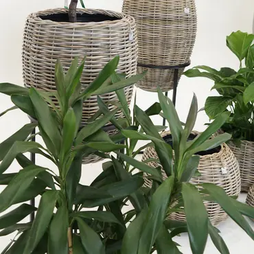 Drypot rotan vaas d48h62cm grijs - afbeelding 6