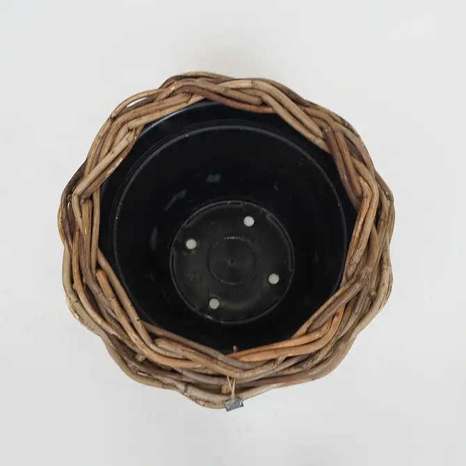 Drypot Sawah Extra Dik Rotan Bruin d57h43cm - afbeelding 2