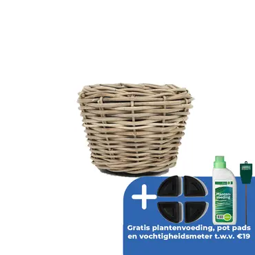 Drypot Sawah Extra Dik Rotan Grijs d57h43cm met dichte inzetpot