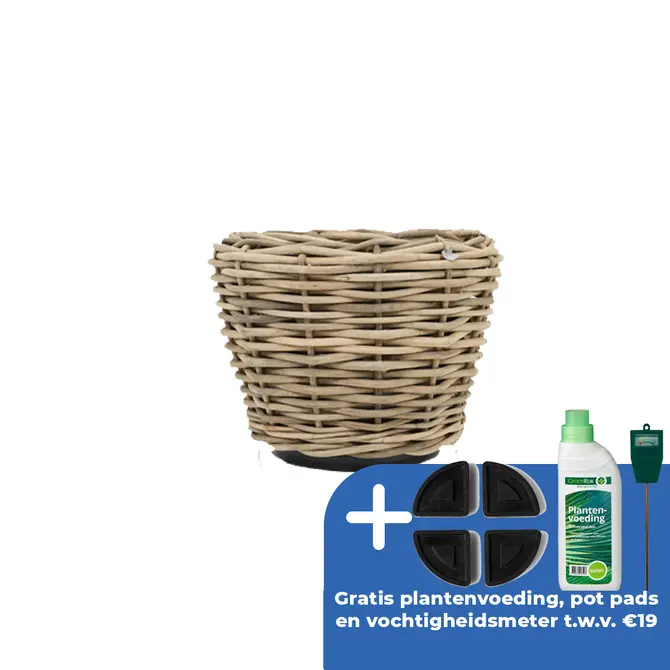 Drypot Sawah Extra Dik Rotan Grijs d68h52cm met dichte inzetpot - afbeelding 1