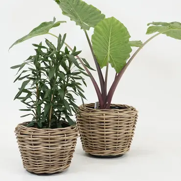 Drypot Sawah Extra Dik Rotan Grijs d68h52cm met dichte inzetpot sfeer, Van der Leeden, tuincentrumoutlet.com