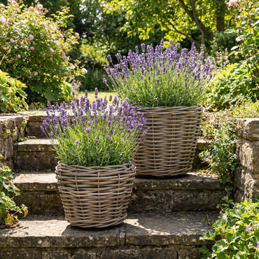 Drypot Sawah Extra Dik Rotan Grijs d68h52cm met dichte inzetpot - afbeelding 6