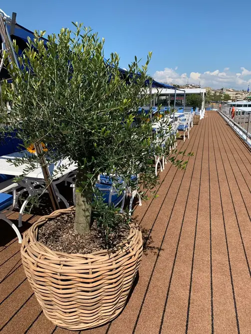 Drypot Sawah Extra Dik Rotan Grijs d83h61cm met dichte inzetpot sfeer, Van der Leeden, tuincentrumoutlet.com