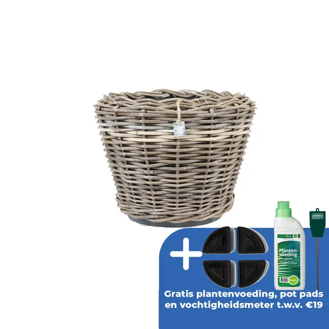 Drypot terrasmand d43h33cm - afbeelding 1