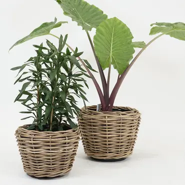 Drypot terrasmand d43h33cm - afbeelding 5