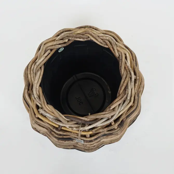 Drypot Tina Extra Dik Rotan Bruin d58h47cm - afbeelding 2