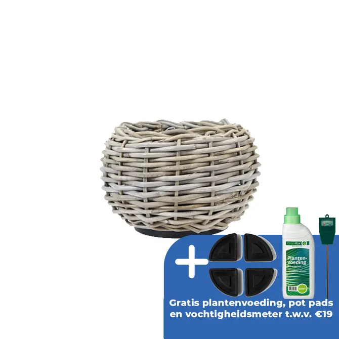 Drypot tina rotan d29h19cm grijs - afbeelding 1