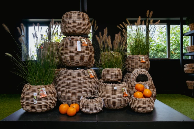 Drypot tina rotan d29h19cm grijs - afbeelding 6